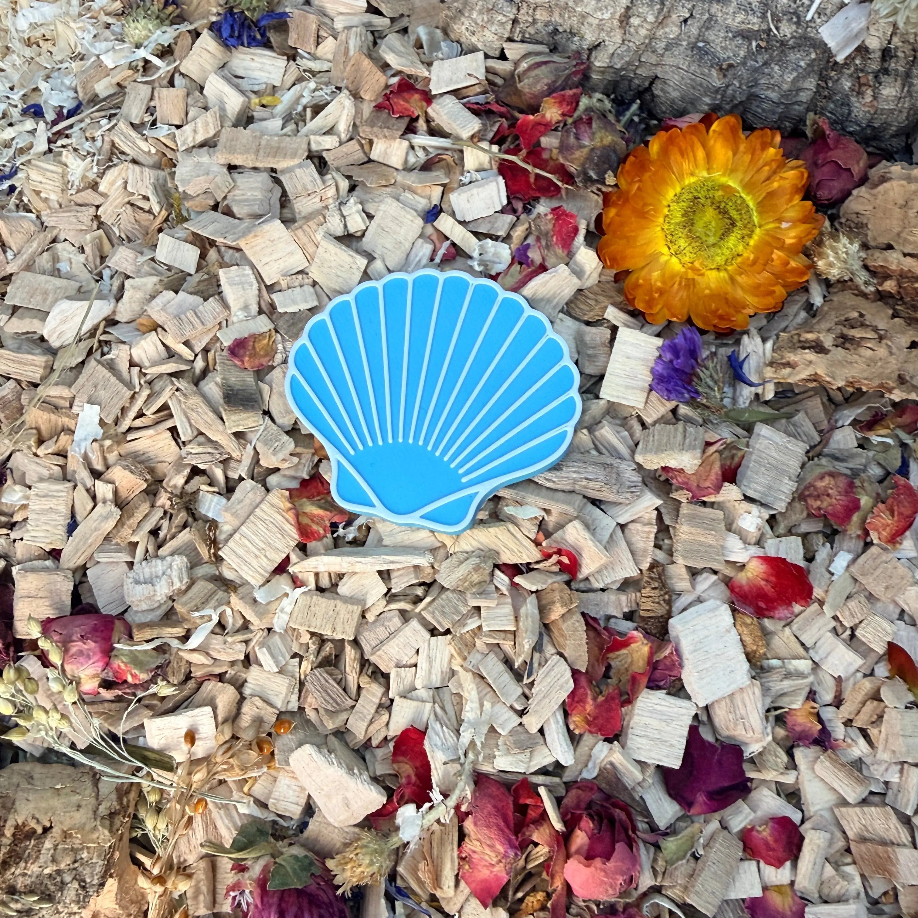 Enrichment Seashell Stepping Stones – Enclosure Decoration (Set of 3) RoseLark Pet Products