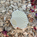 Enrichment Seashell Stepping Stones – Enclosure Decoration (Set of 3) RoseLark Pet Products