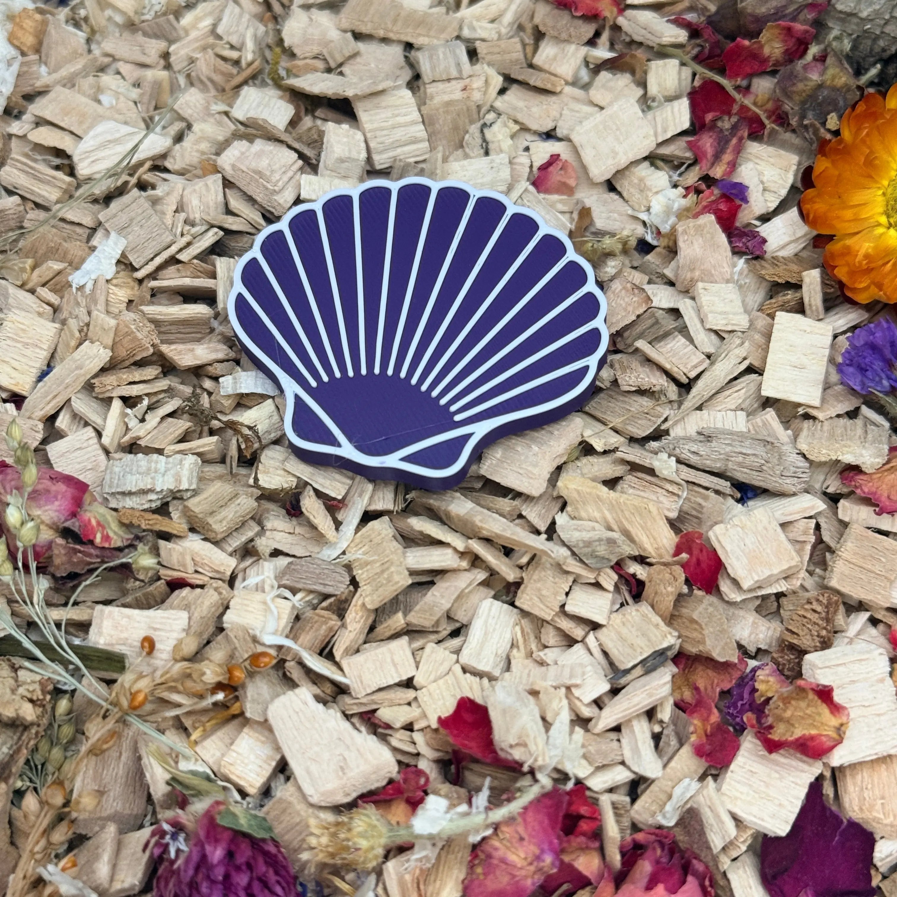 Enrichment Seashell Stepping Stones – Enclosure Decoration (Set of 3) RoseLark Pet Products