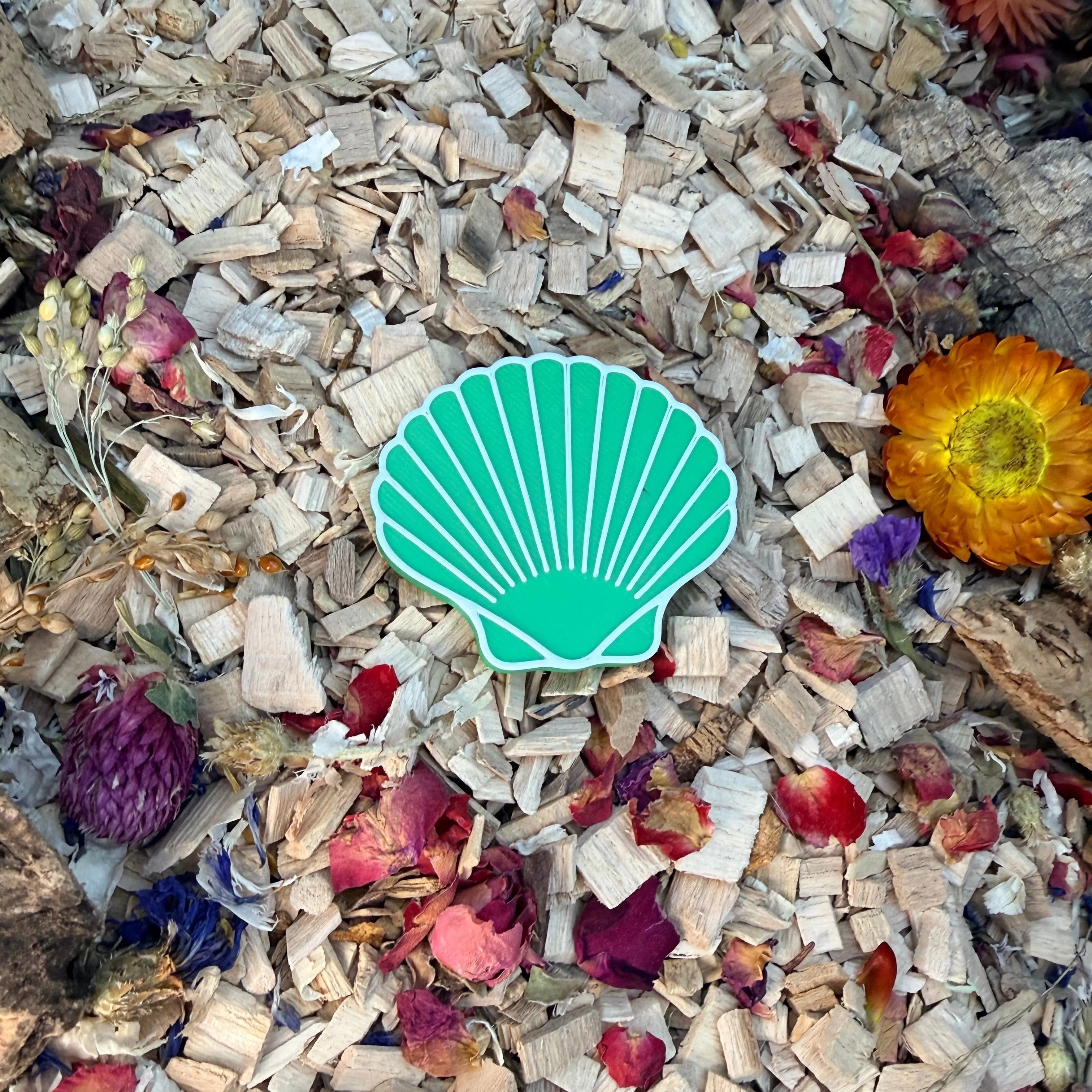 Enrichment Seashell Stepping Stones – Enclosure Decoration (Set of 3) RoseLark Pet Products