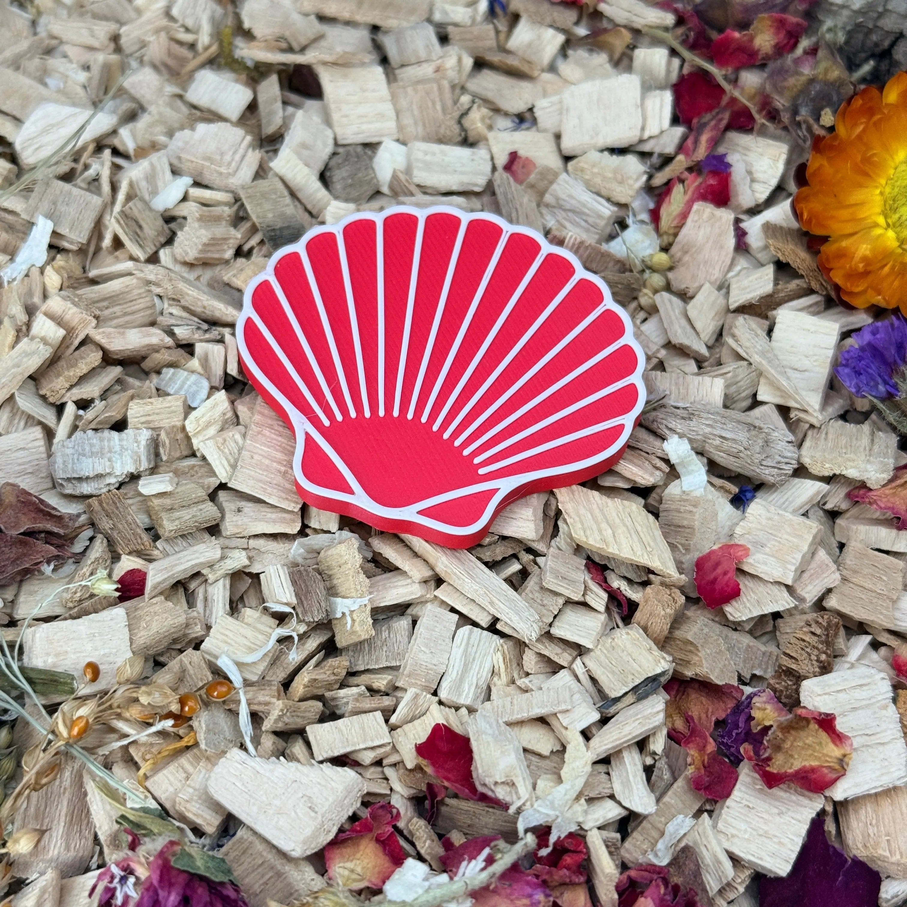 Enrichment Seashell Stepping Stones – Enclosure Decoration (Set of 3) RoseLark Pet Products