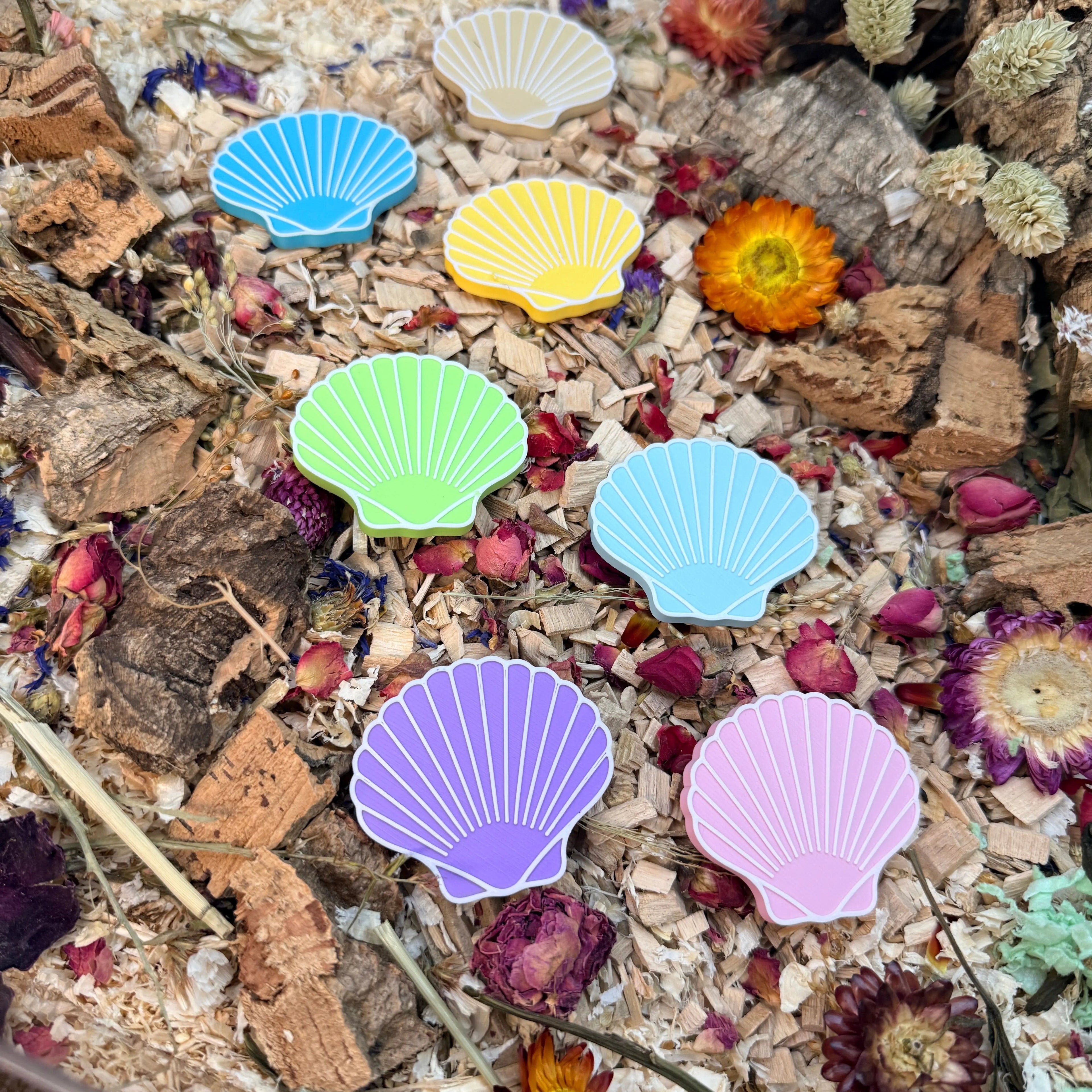 Enrichment Seashell Stepping Stones – Enclosure Decoration (Set of 3) RoseLark Pet Products