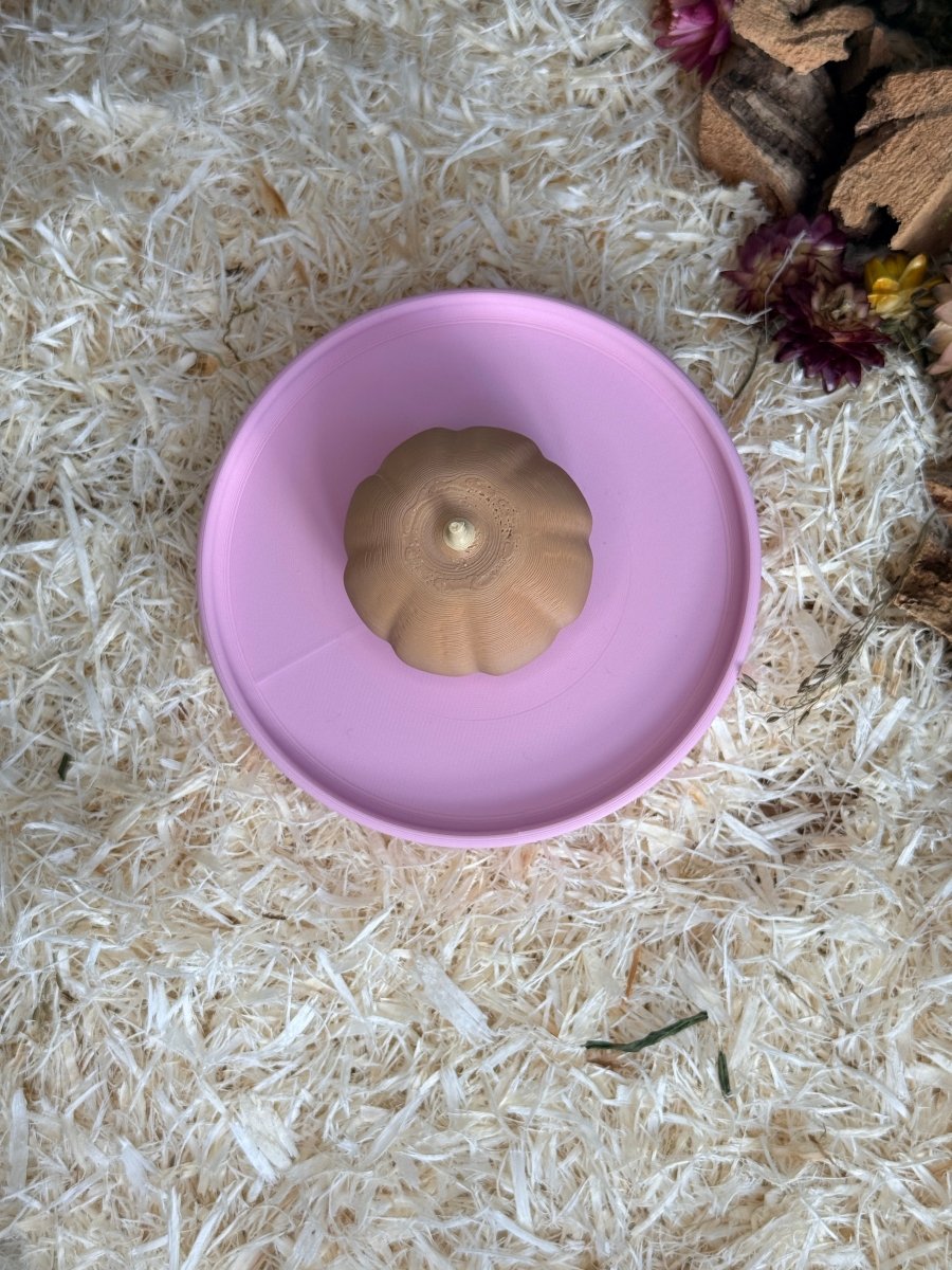 Food Bowl Pumpkin Dish | RoseLark
