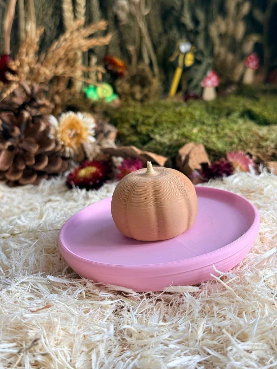 Food Bowl Pumpkin Dish | RoseLark