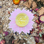 Food Bowl Sunflower Water bowl holder/Food Bowl RoseLark Pet Products