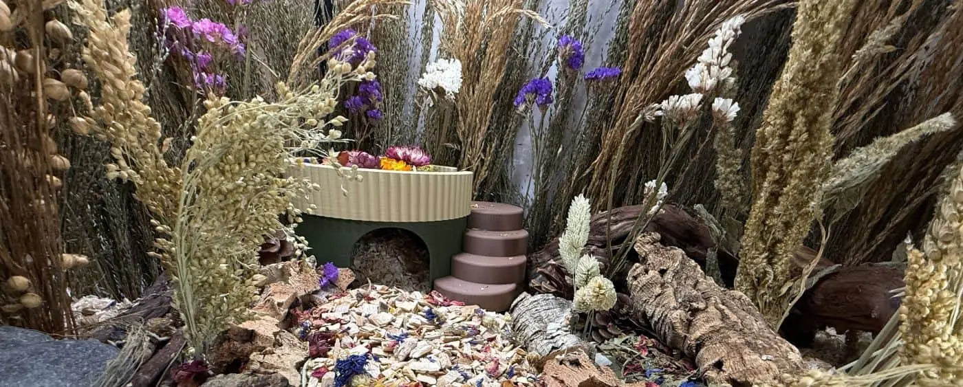 Hamster enclosure setup with round hide, sprays, deep bedding and enrichment