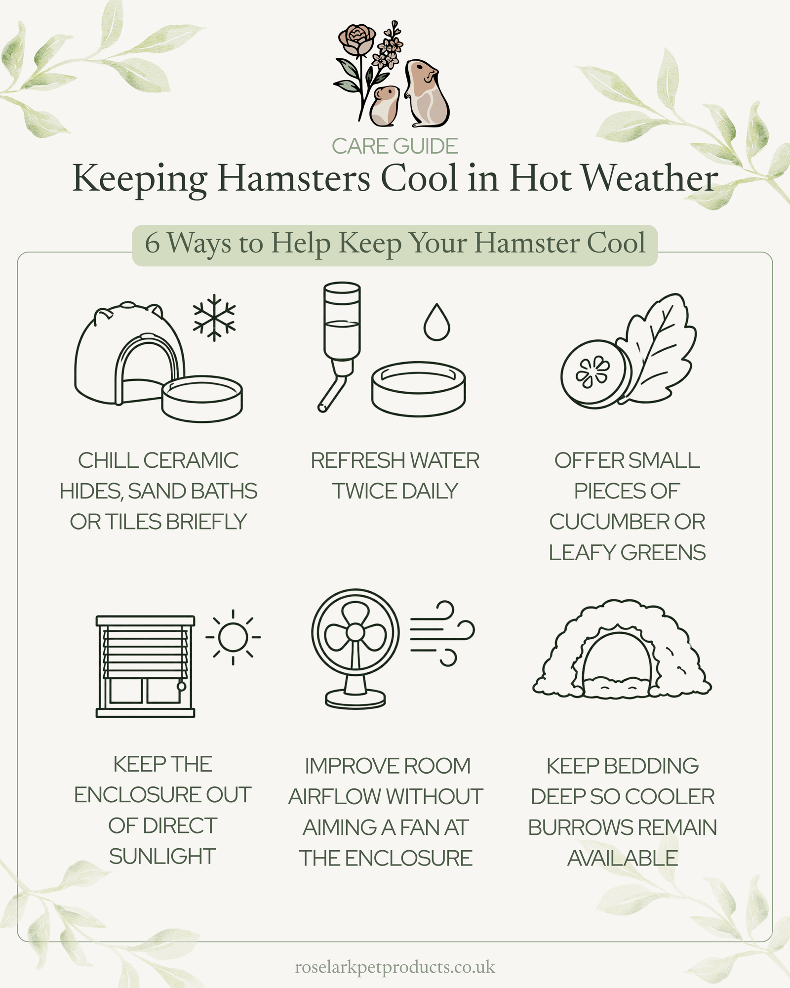 Six ways to keep hamsters cool in hot weather, including chilled ceramics, fresh water, hydrating foods, shade, airflow and deep bedding.