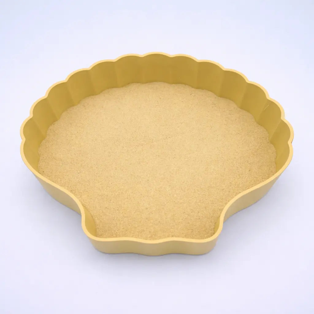 large tan sea shell sand tray
