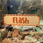 Magnetic Personalised Hamster Name Plaque | RoseLark