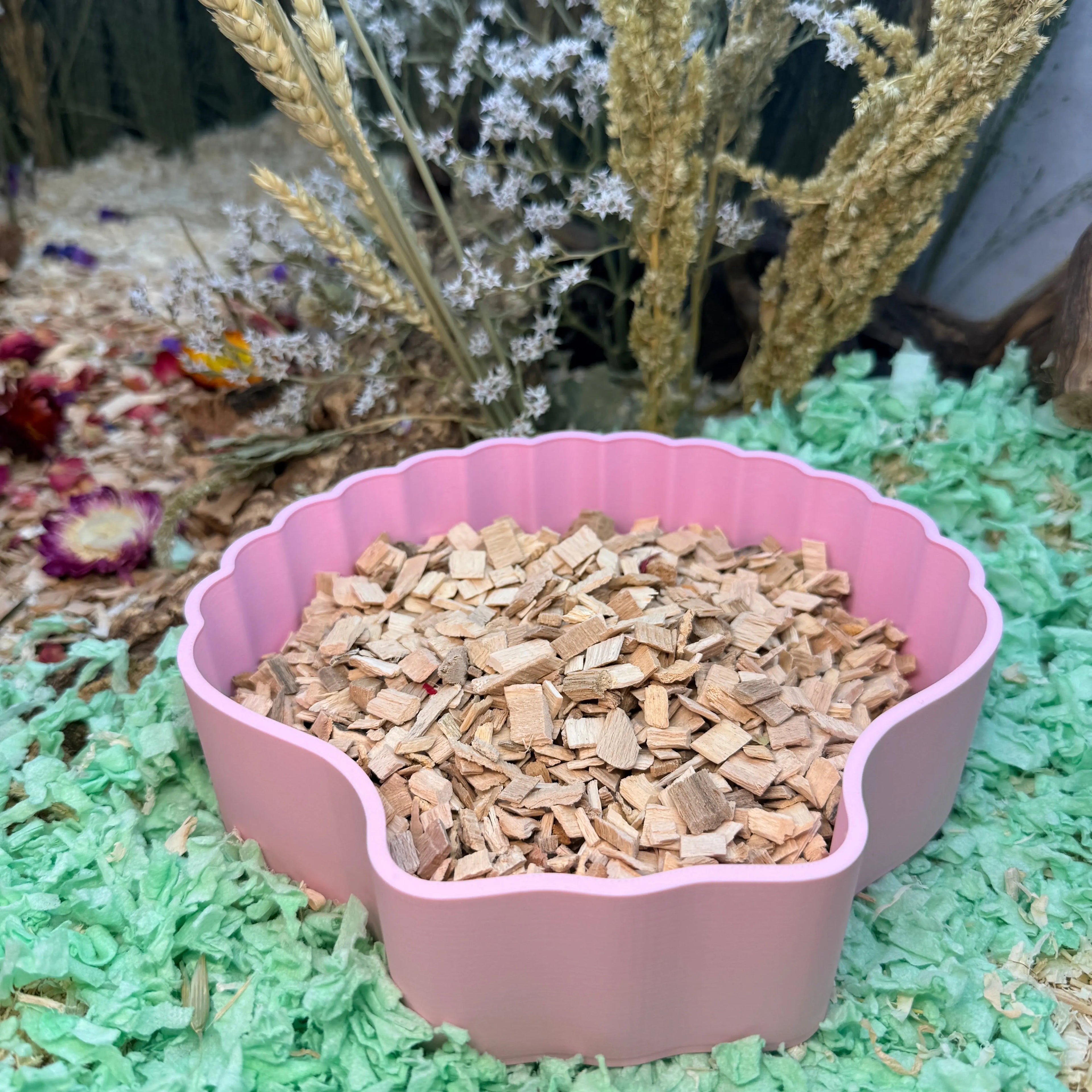 hamster dig box, hamster digging box, hamster sand dig box, hamster dig box UK, Pink shell dig box and or sand bath with beech chips