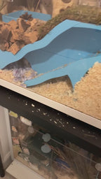 4 Chamber Peep hide with burrow starter