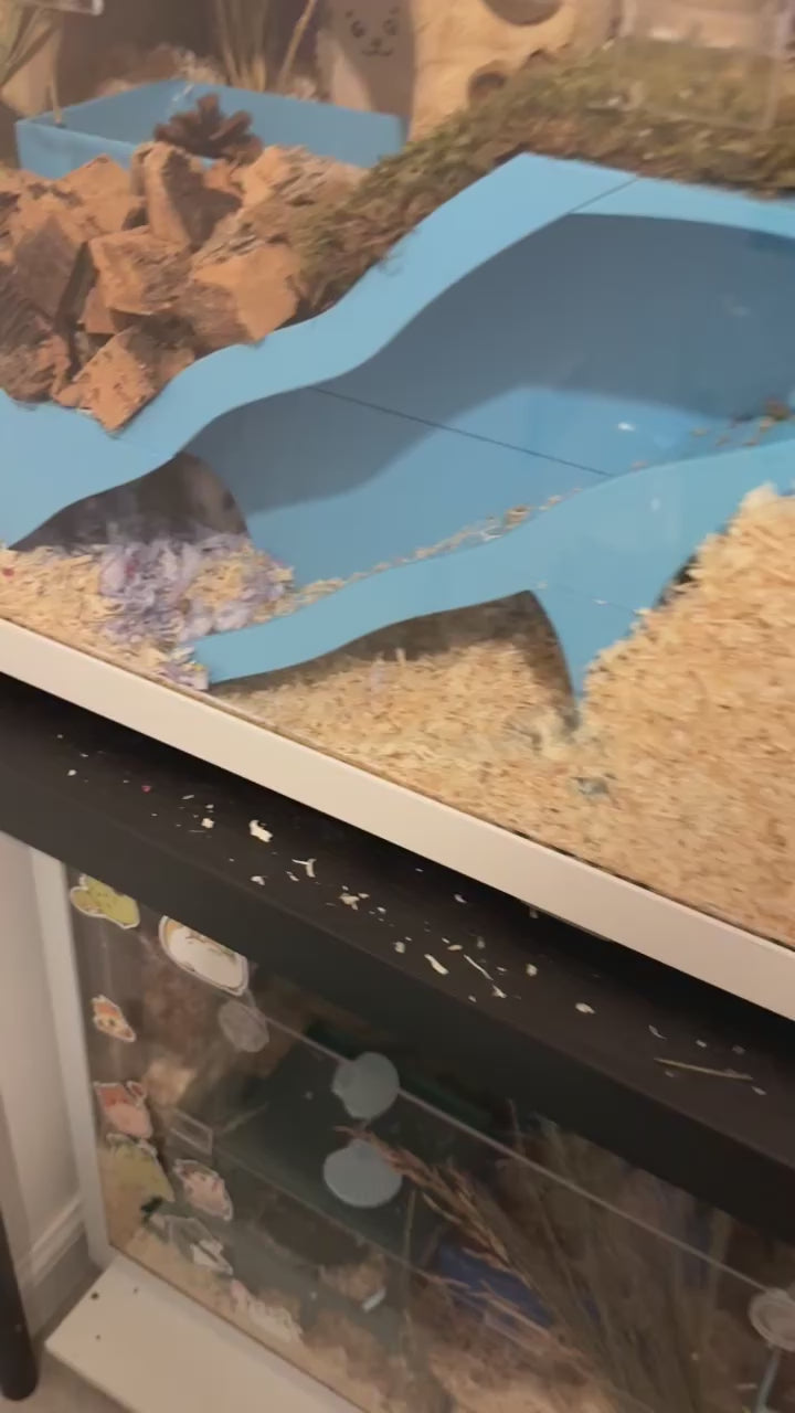 4 Chamber Peep hide with burrow starter