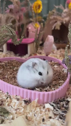Heart Sand Bath & Dig Box