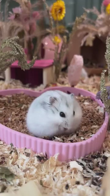 Heart Sand Bath & Dig Box