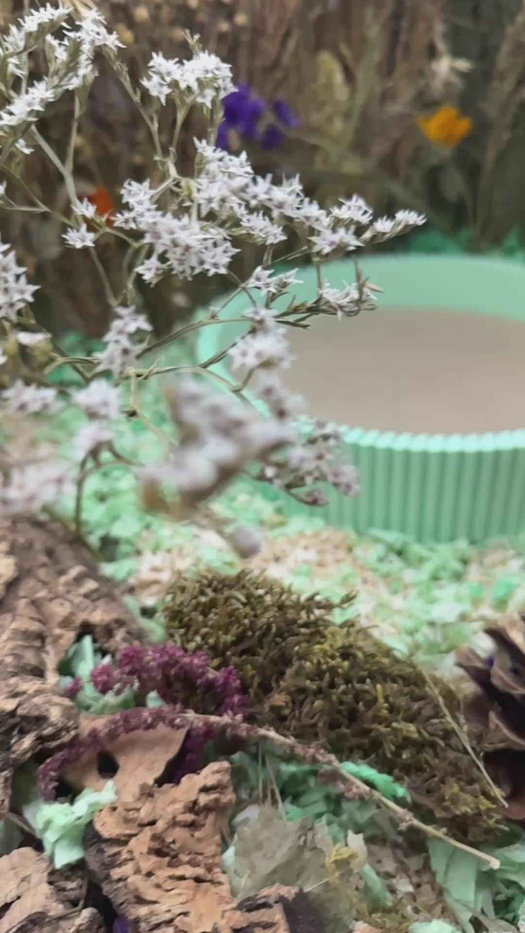 round hamster sand bath heart dowel