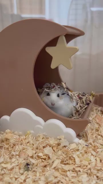 dwarf hamster digging in substrate in moon hide
