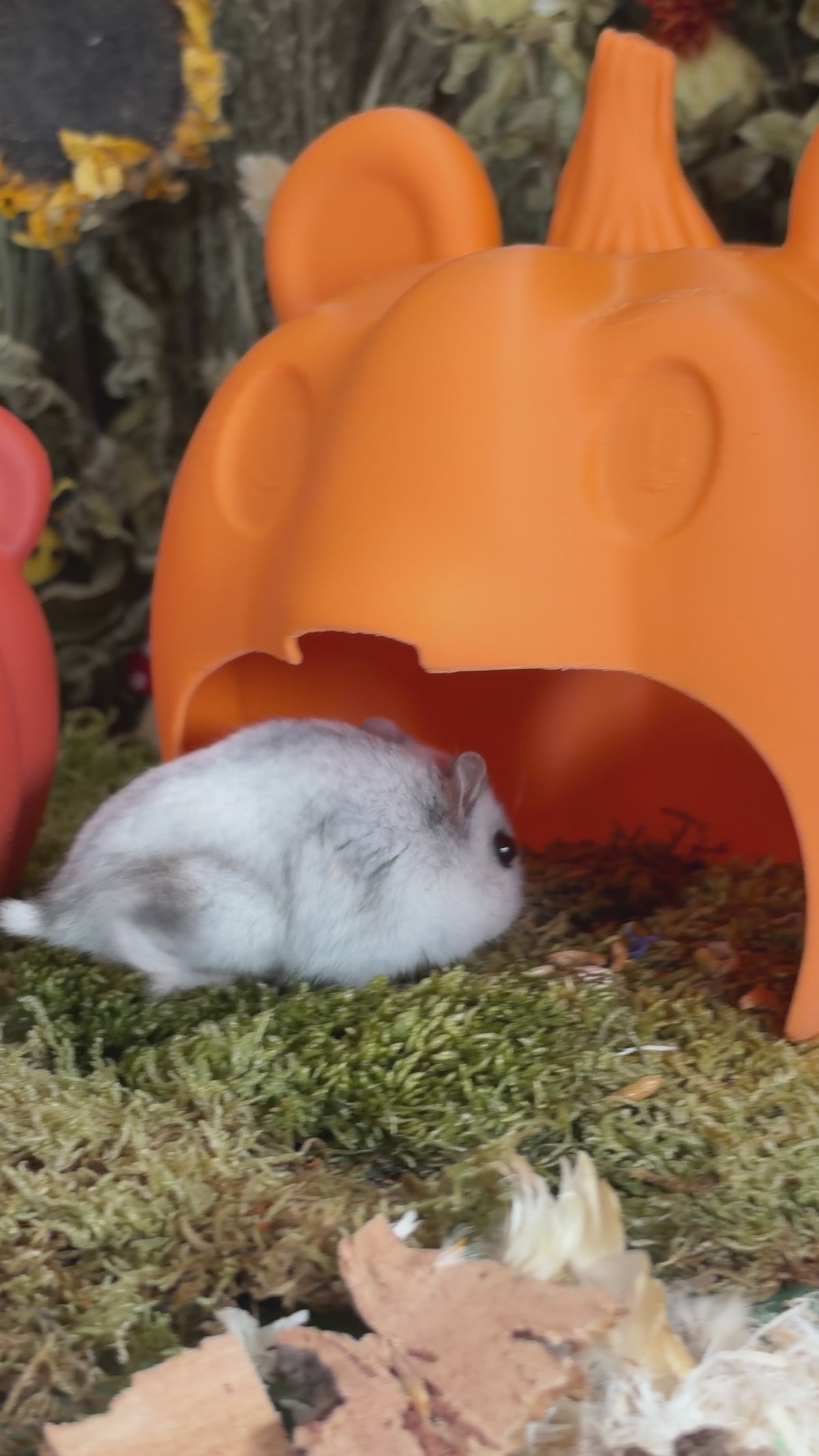 Hamkin Hamster Hide
