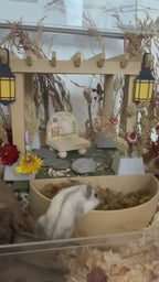 Enchanted Garden Hamster Pergola