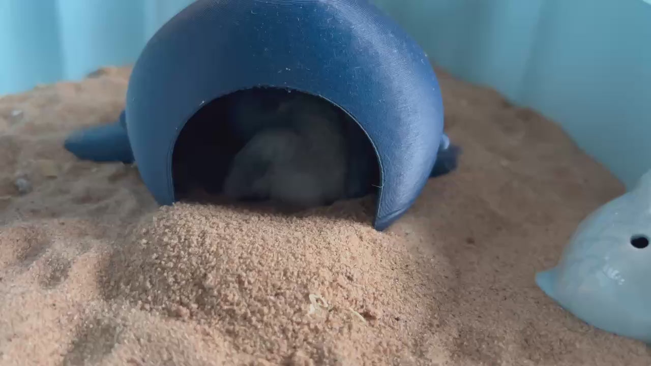 Whale Hide