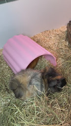 small pet shelter tunnel guinea pig