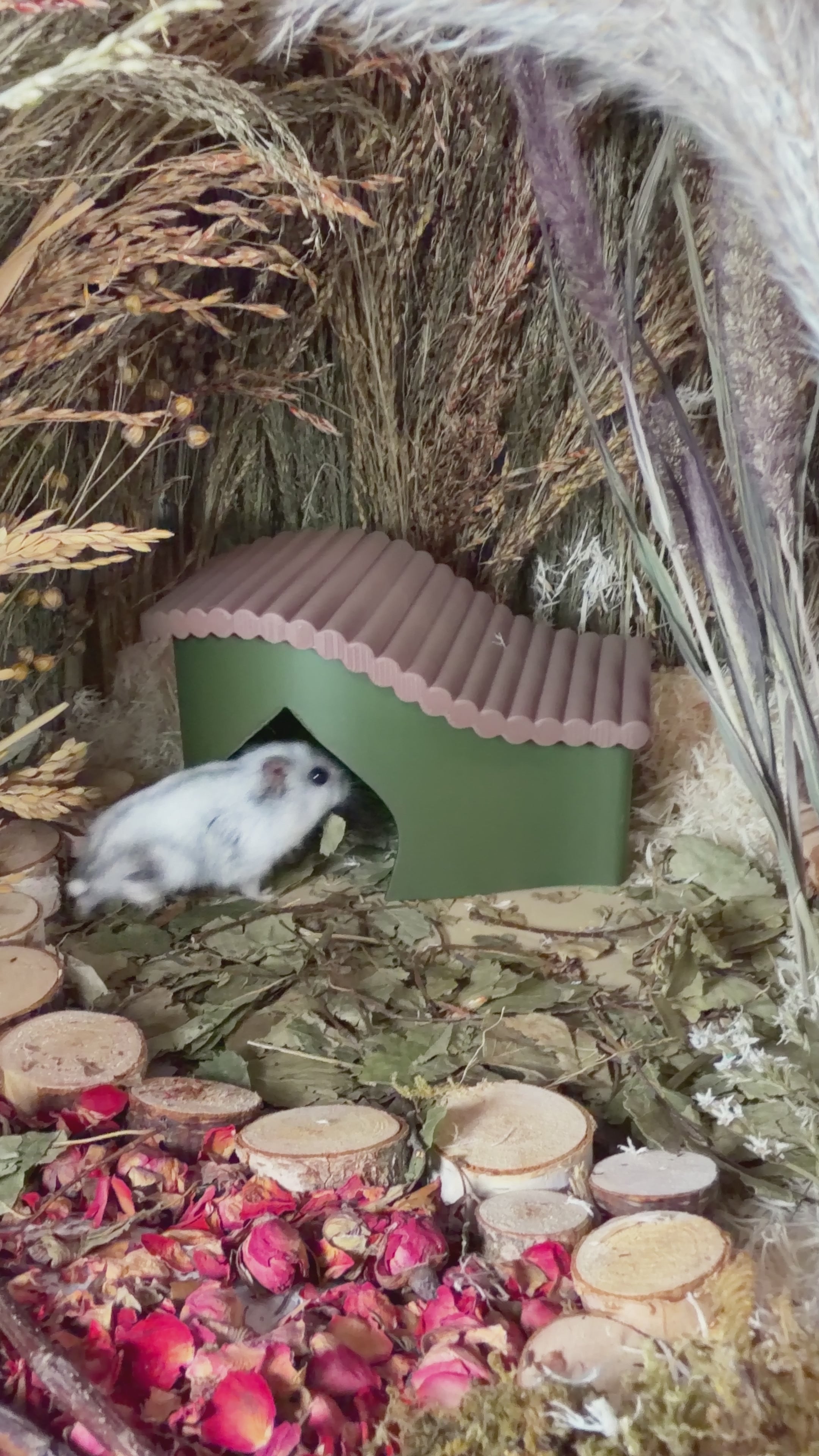 New In | Small Pet Accessories UK | RoseLark