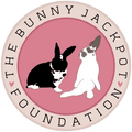 Rescue Gift Card The Bunnyjackpot Foundation | RoseLark