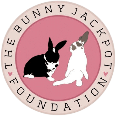 Rescue Gift Card The Bunnyjackpot Foundation | RoseLark