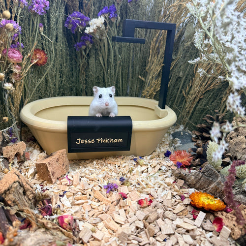 Sand Bath / Dig Box Bathtub Sand Bath & Dig Box RoseLark Pet Products