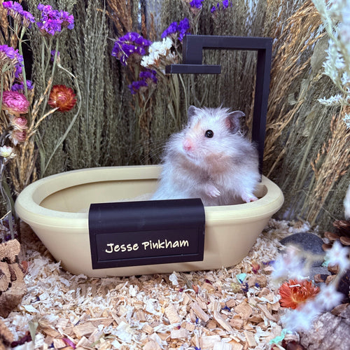 Sand Bath / Dig Box Bathtub Sand Bath & Dig Box RoseLark Pet Products