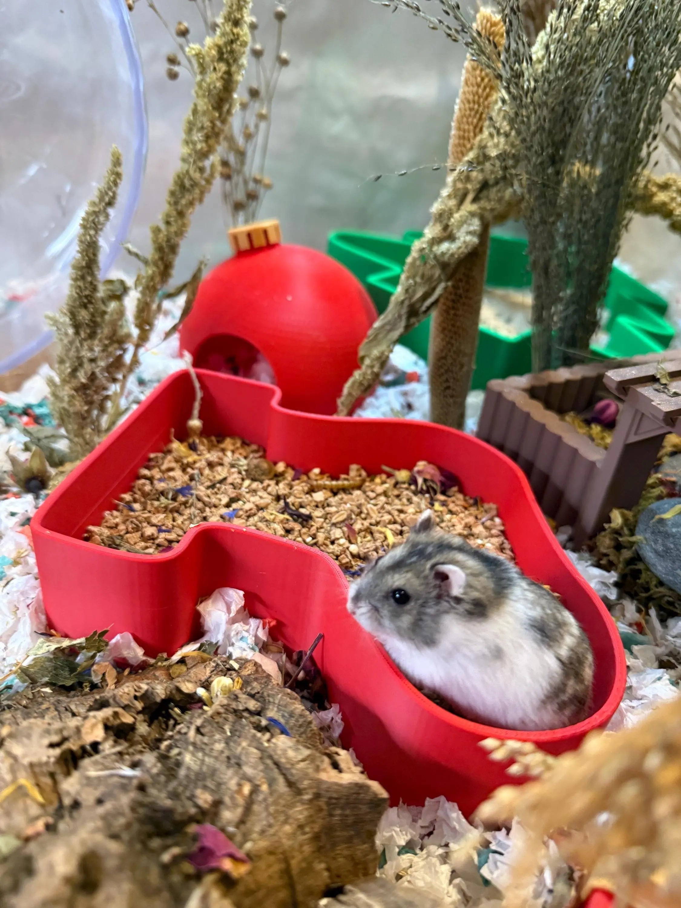 Sand Bath / Dig Box Christmas Sand Bath & Dig Box RoseLark Pet Products