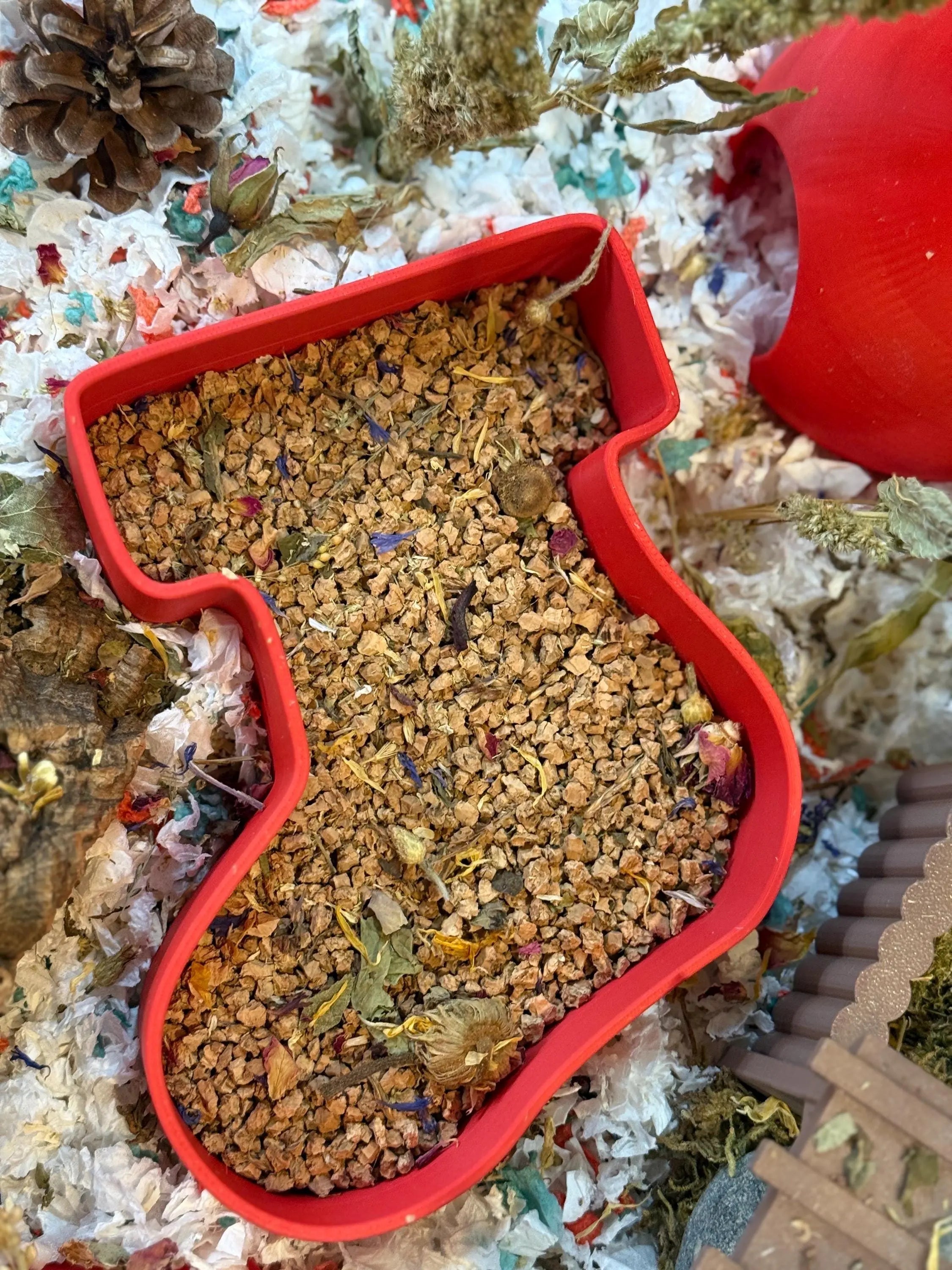 Sand Bath / Dig Box Christmas Sand Bath & Dig Box RoseLark Pet Products