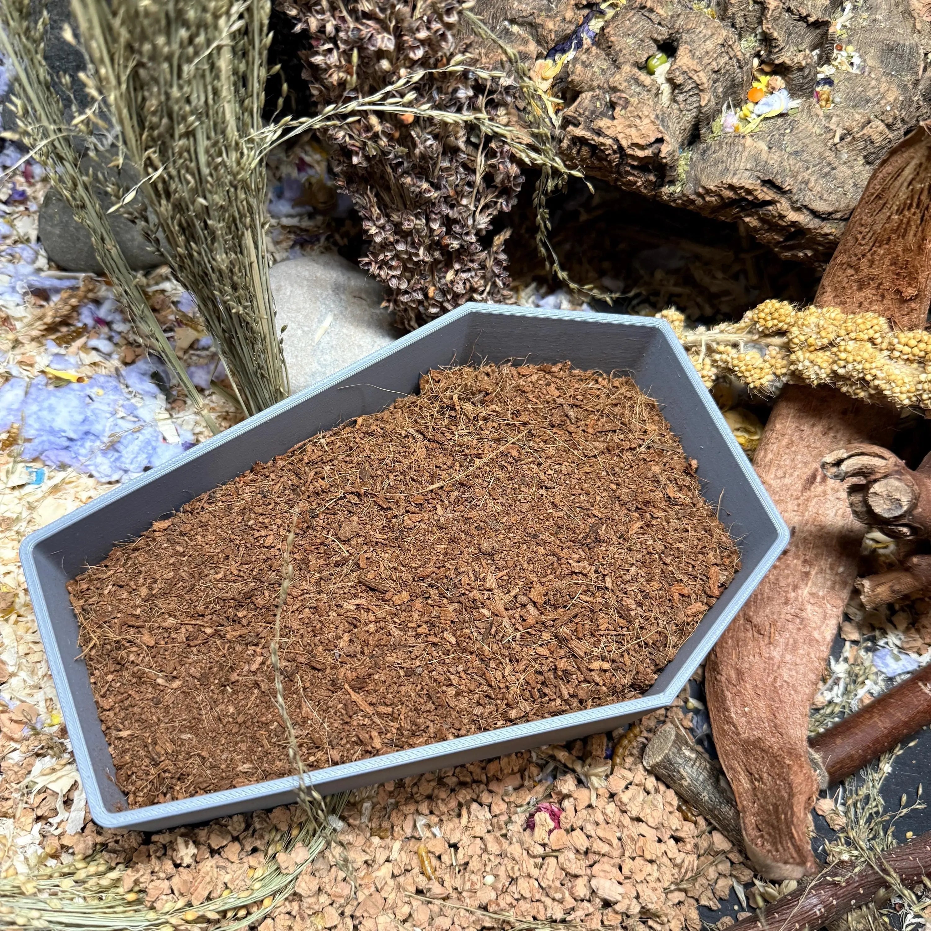 Sand Bath / Dig Box Coffin Sand Bath & Dig Box RoseLark Pet Products