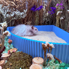 Sand Bath / Dig Box Corner Sand Bath RoseLark Pet Products