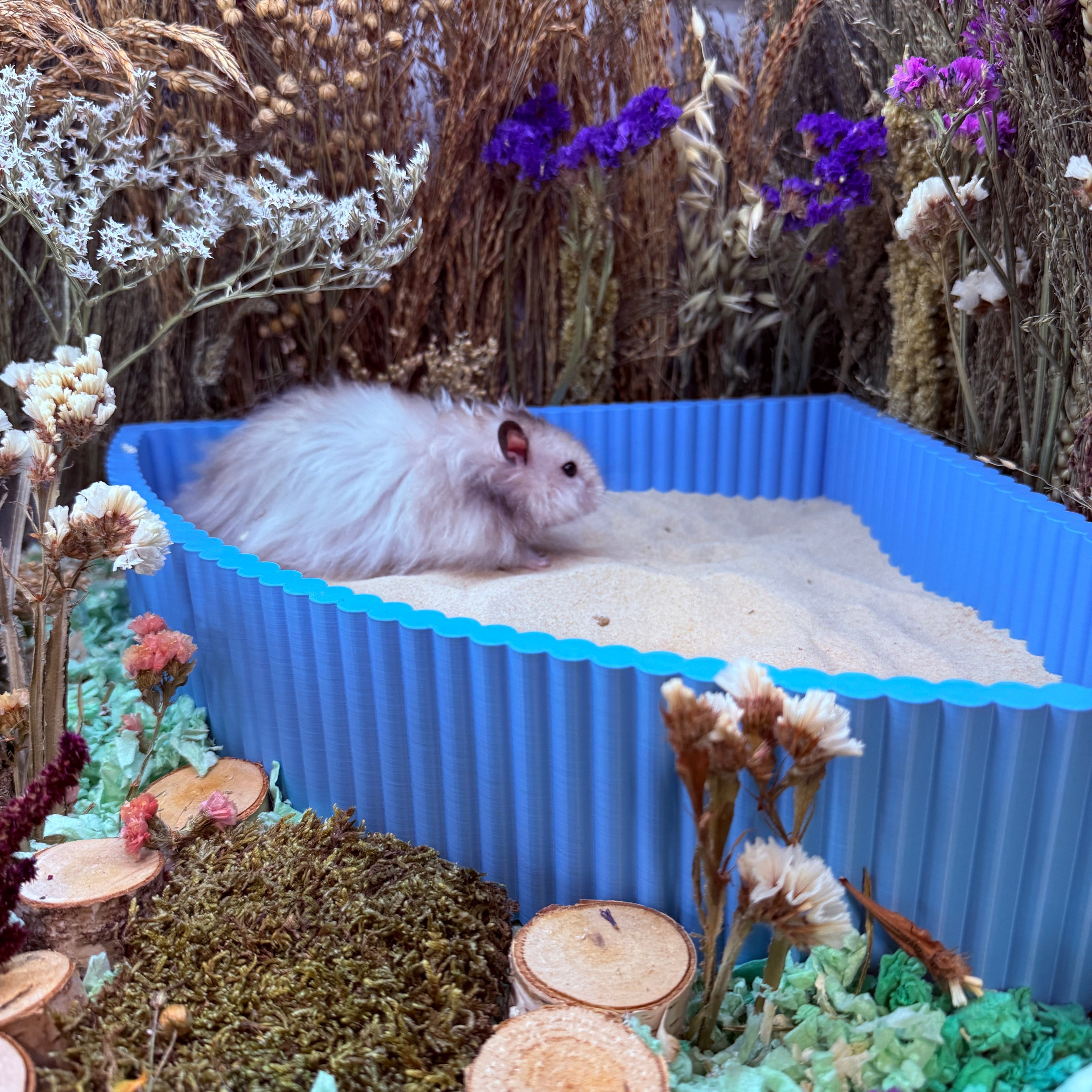 Sand Bath / Dig Box Corner Sand Bath RoseLark Pet Products