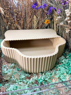 Sand Bath / Dig Box Dowel Effect Sand Bath (Optional Lid) | RoseLark
