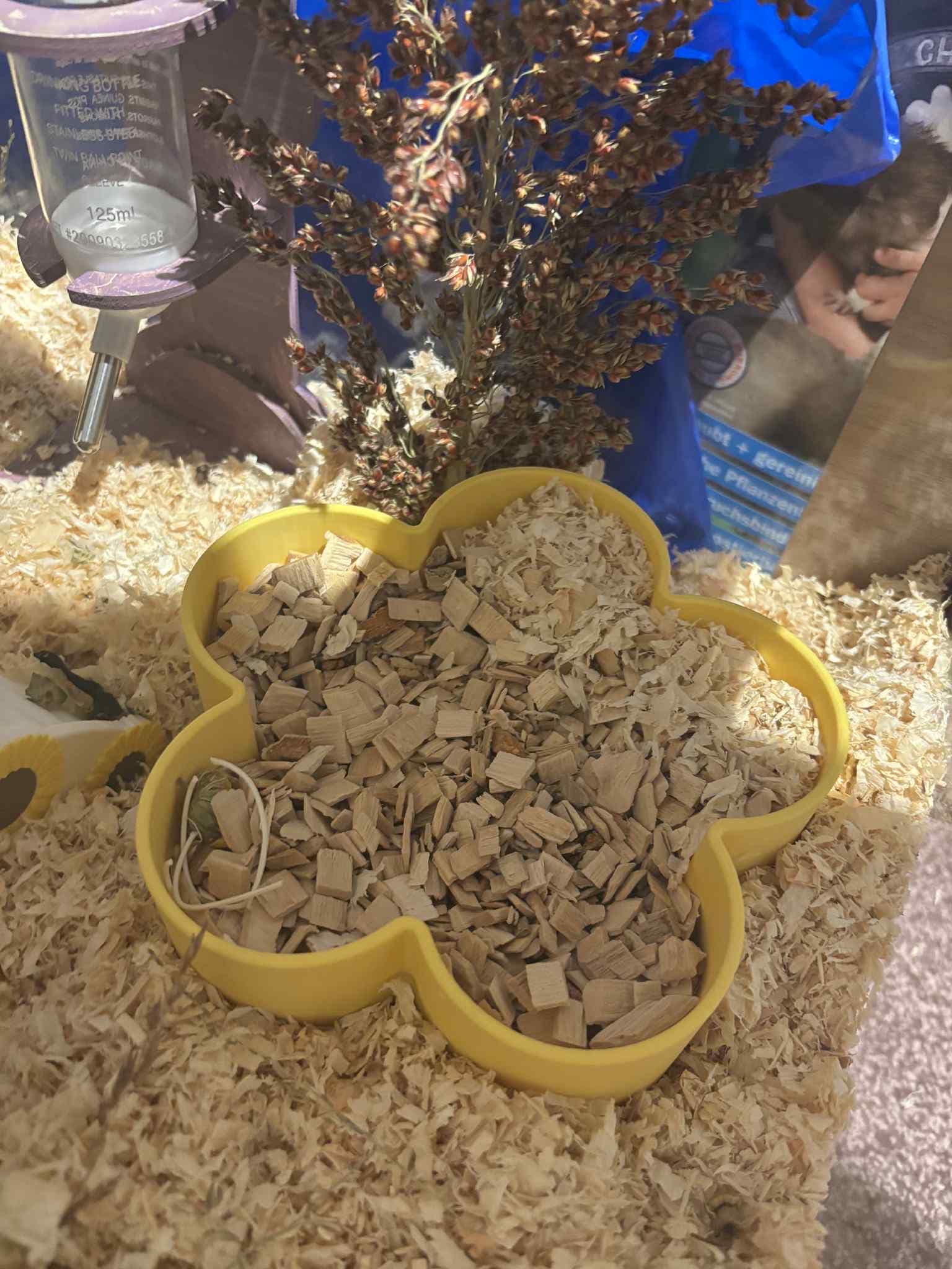 Sand Bath / Dig Box Flower Sand Bath & Dig Box RoseLark Pet Products