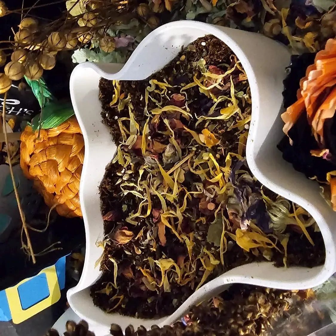 Sand Bath / Dig Box Ghost Sand Bath & Dig Box RoseLark Pet Products