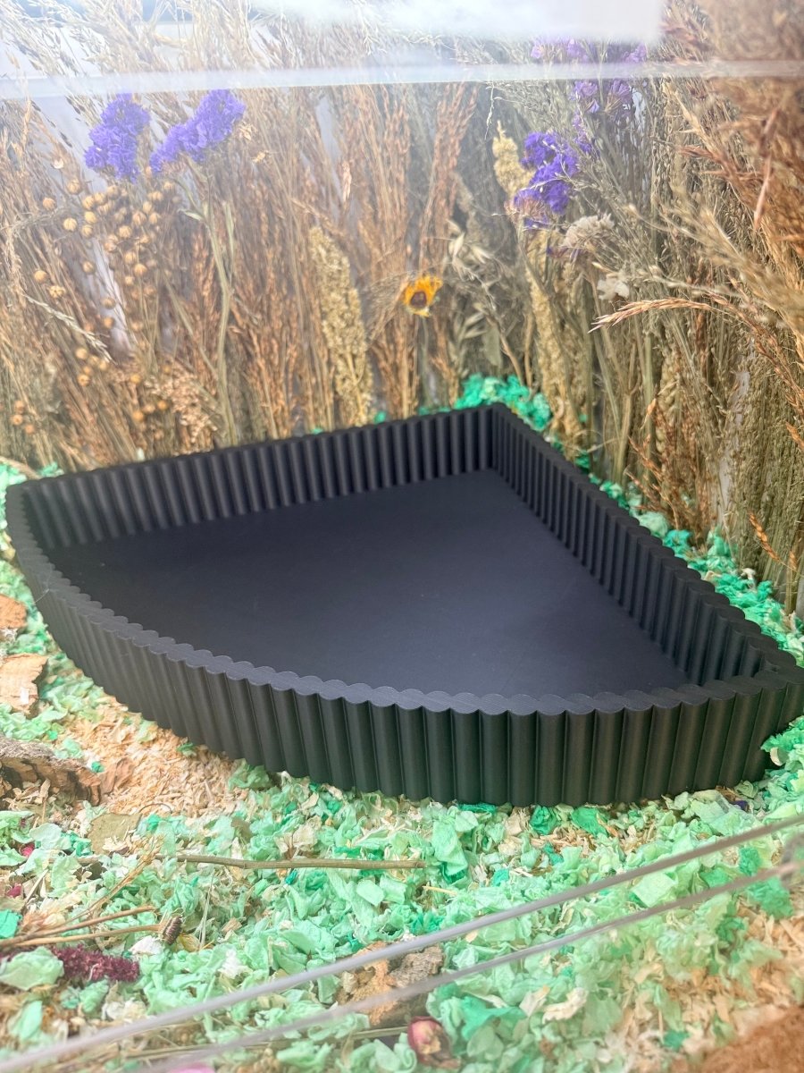 Sand Bath / Dig Box Hamster Corner Sand Bath & Dig Box | RoseLark