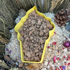 Sand Bath / Dig Box Ice Cream Sand Bath & Dig Box RoseLark Pet Products