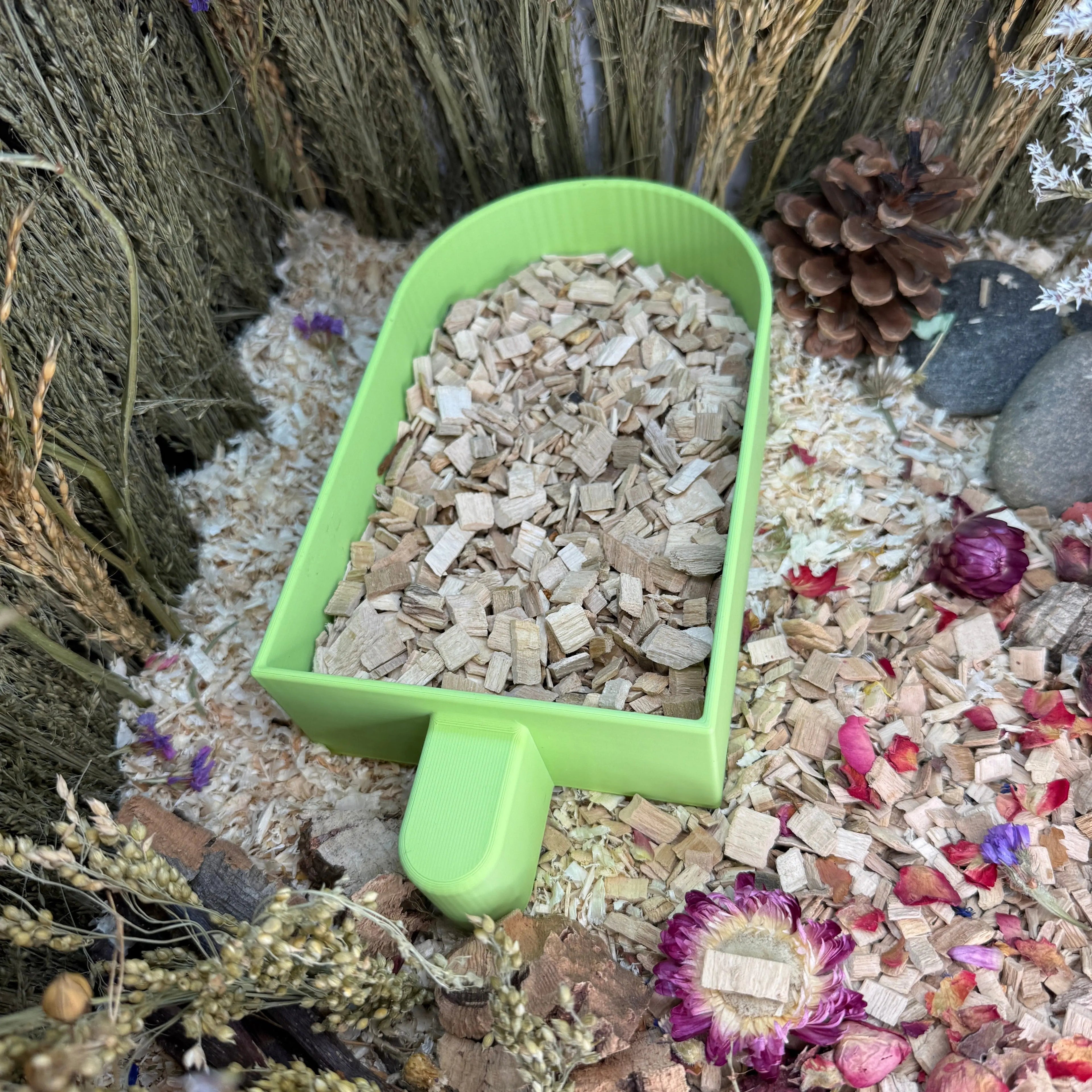 Sand Bath / Dig Box Ice Lolly Sand Bath & Dig Box RoseLark Pet Products