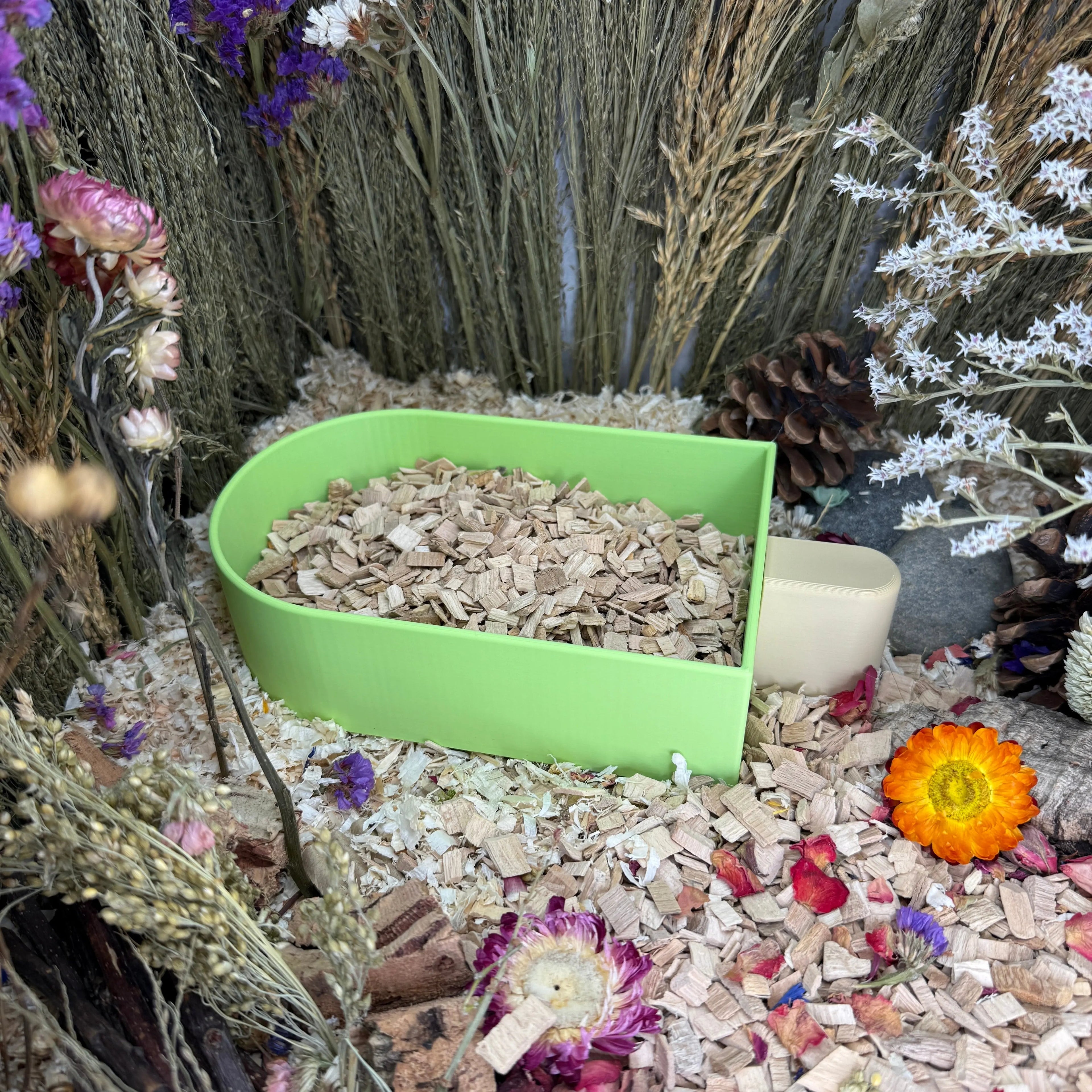 Sand Bath / Dig Box Ice Lolly Sand Bath & Dig Box RoseLark Pet Products