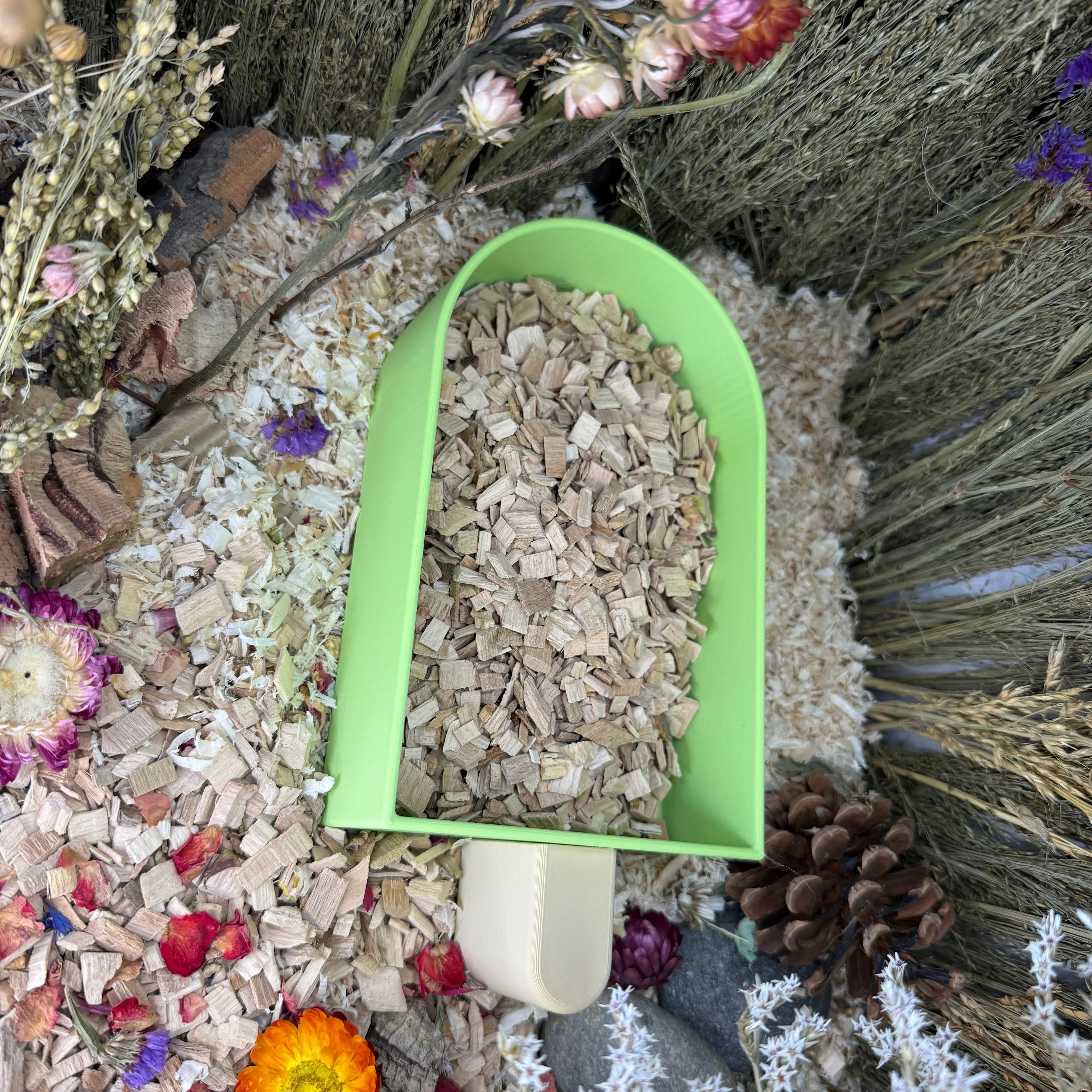 Sand Bath / Dig Box Ice Lolly Sand Bath & Dig Box RoseLark Pet Products