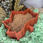 Sand Bath / Dig Box Maple Leaf Sand Bath & Dig Box | RoseLark