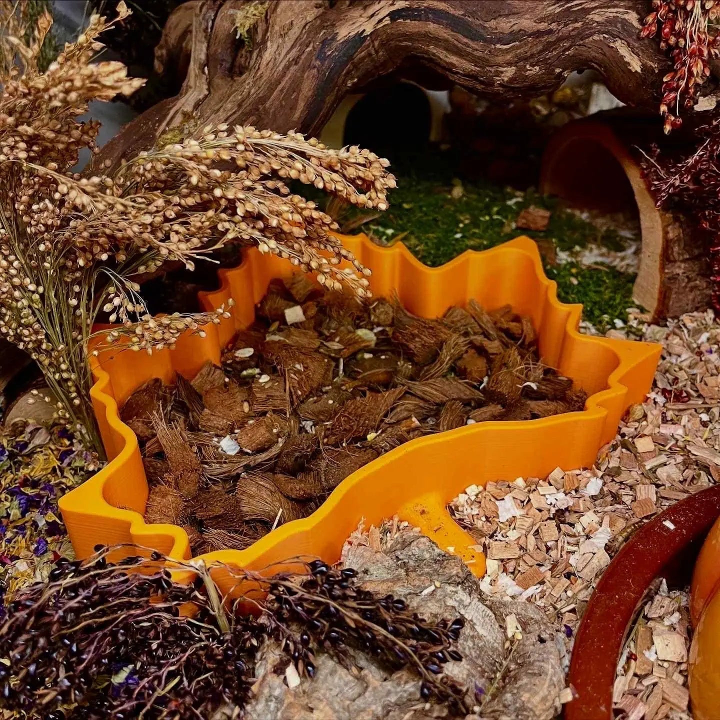 Sand Bath / Dig Box Maple Leaf Sand Bath & Dig Box RoseLark Pet Products