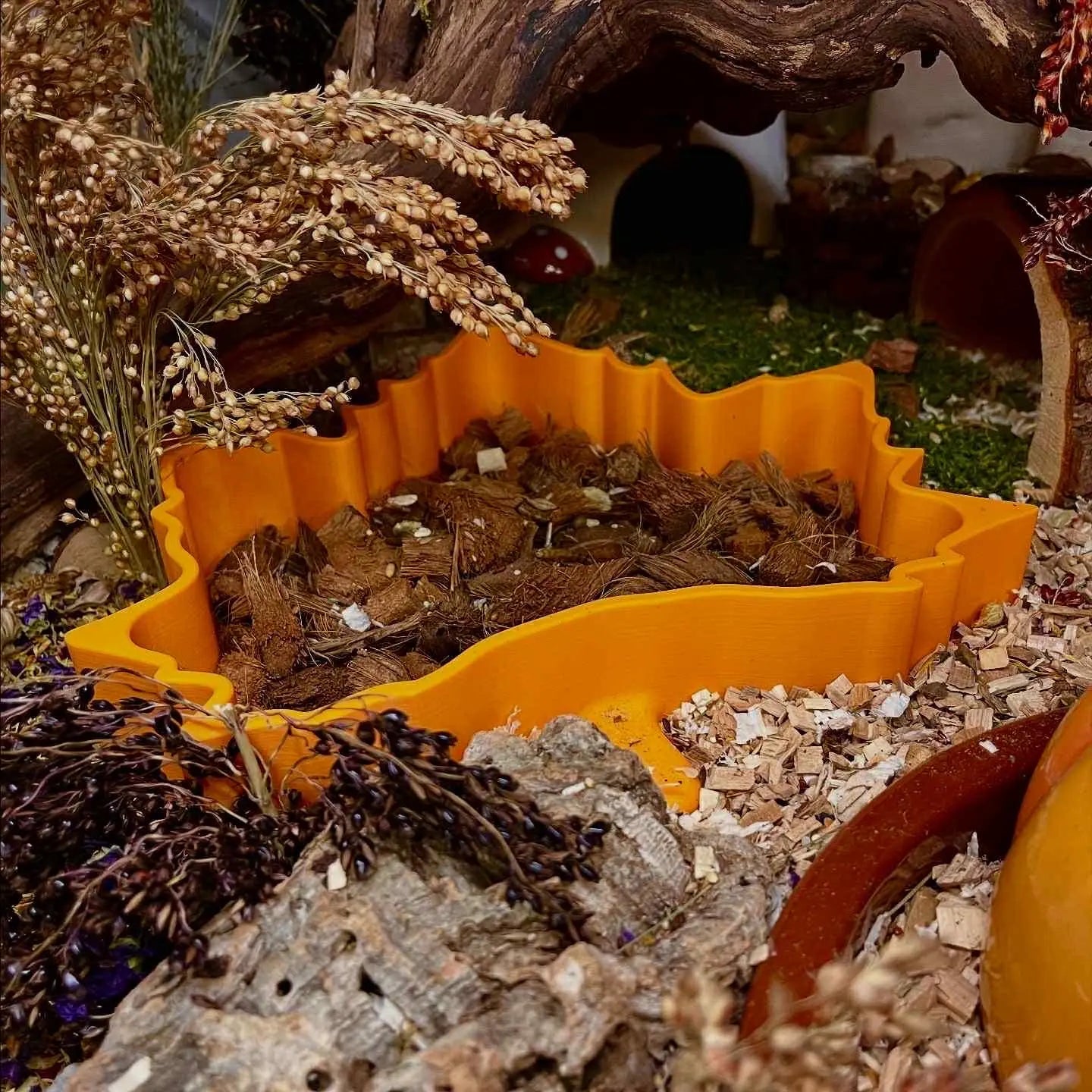 Sand Bath / Dig Box Maple Leaf Sand Bath & Dig Box RoseLark Pet Products