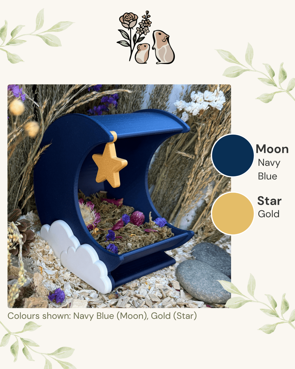 Sand Bath / Dig Box Moon Hide & Substrate Container | RoseLark