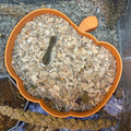 Sand Bath / Dig Box Pumpkin Sand Bath & Dig Box RoseLark Pet Products