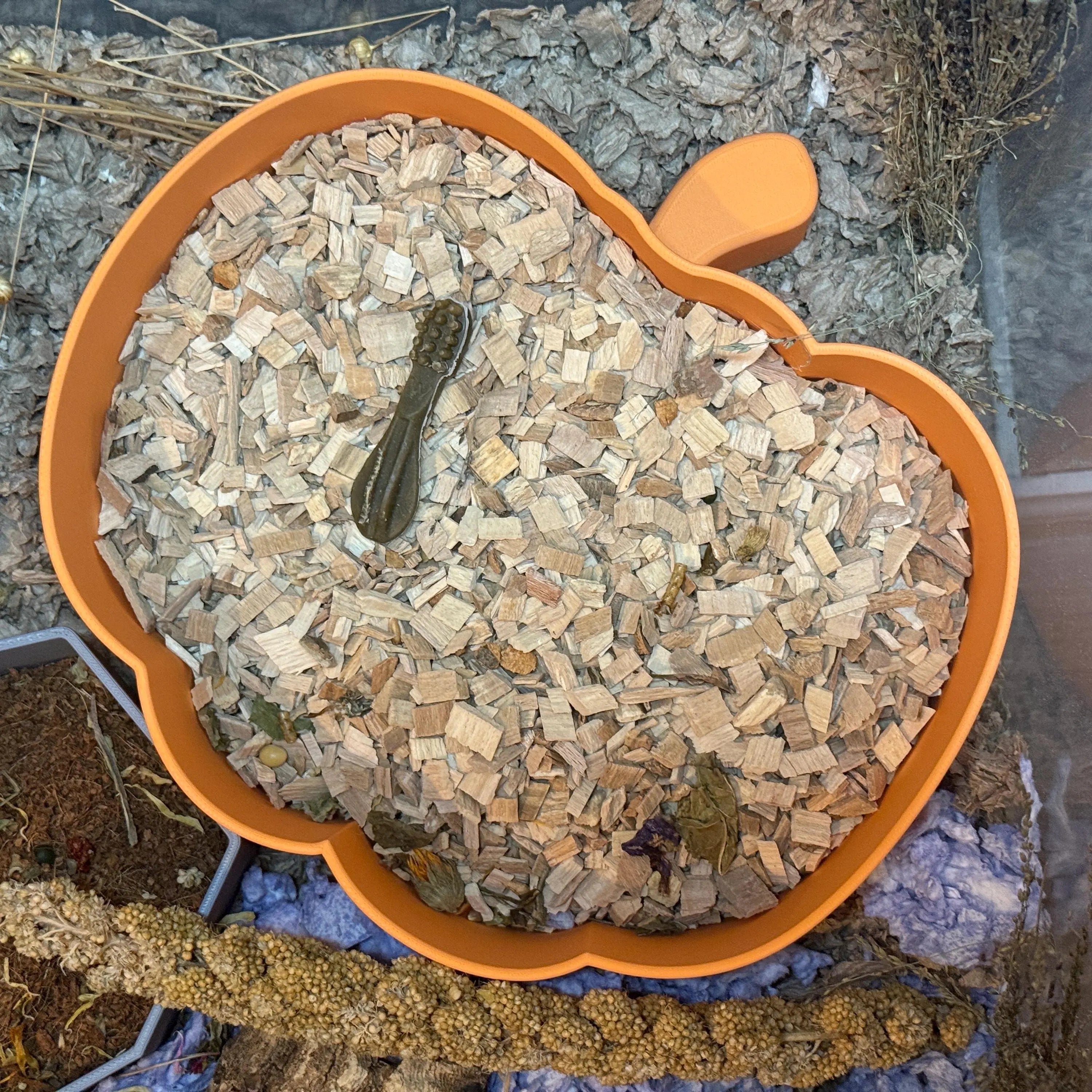 Sand Bath / Dig Box Pumpkin Sand Bath & Dig Box RoseLark Pet Products