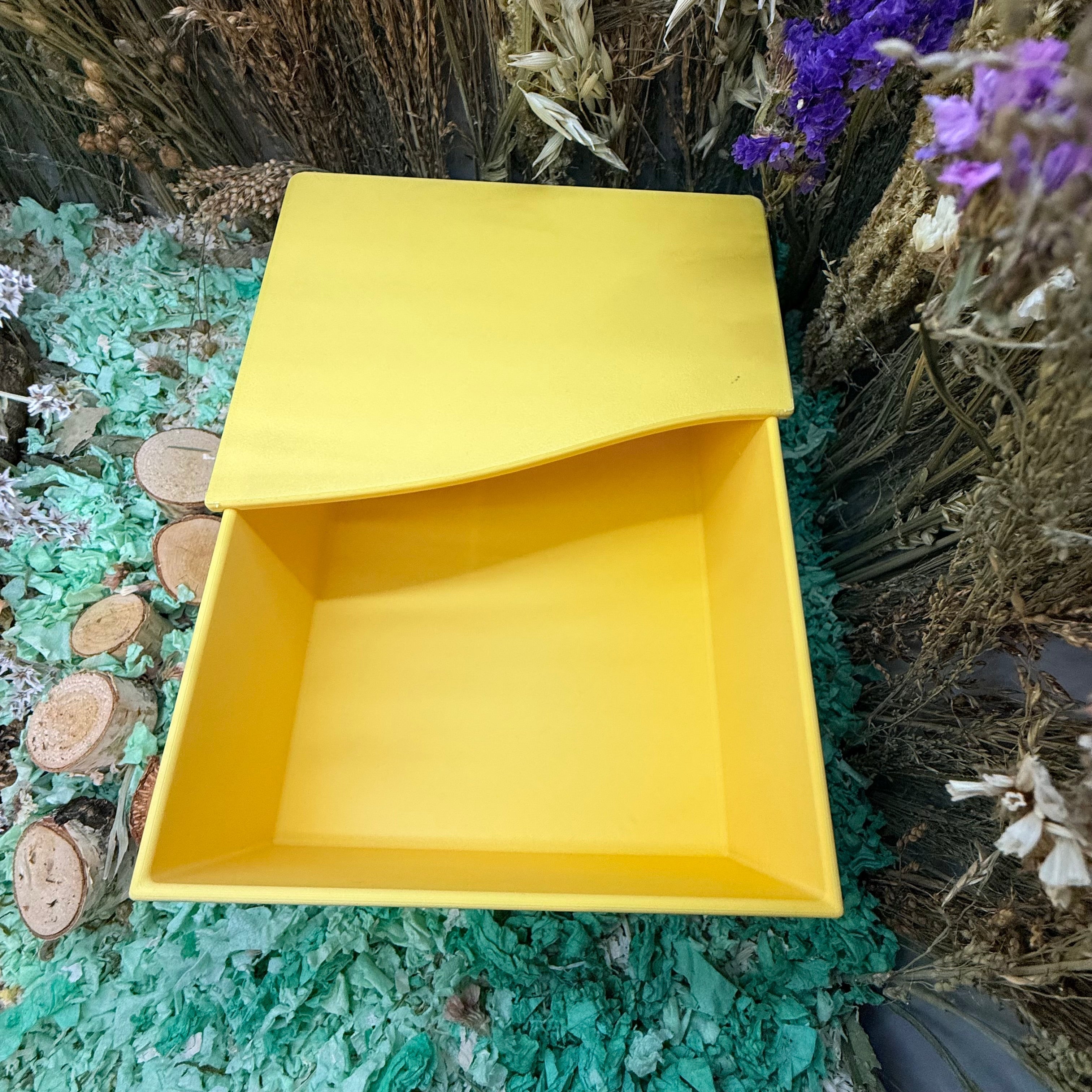 Sand Bath / Dig Box Rectangle Sand Bath with Lid RoseLark Pet Products