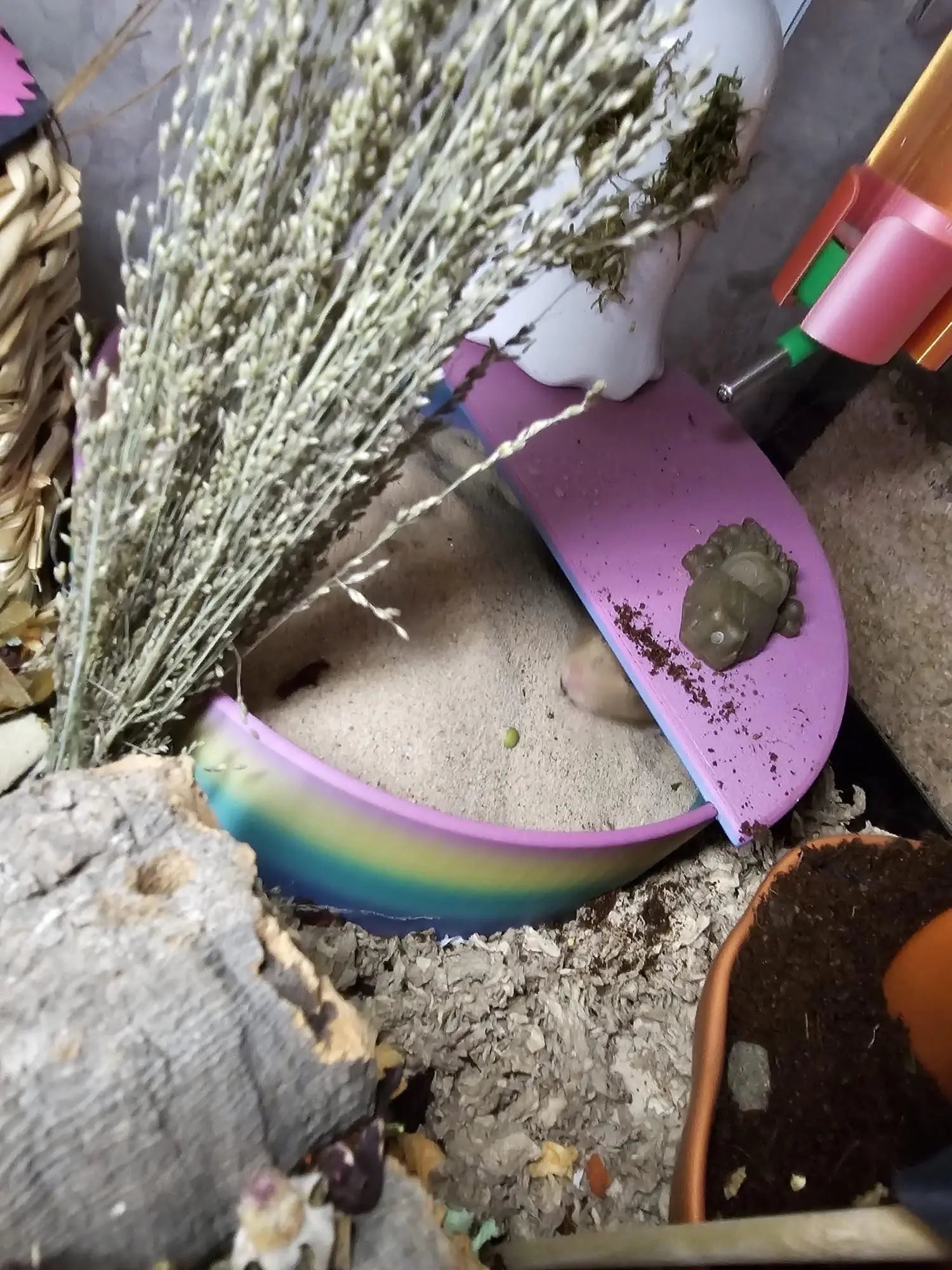 Sand Bath / Dig Box Round Sand Bath (With or Without Lid) RoseLark Pet Products